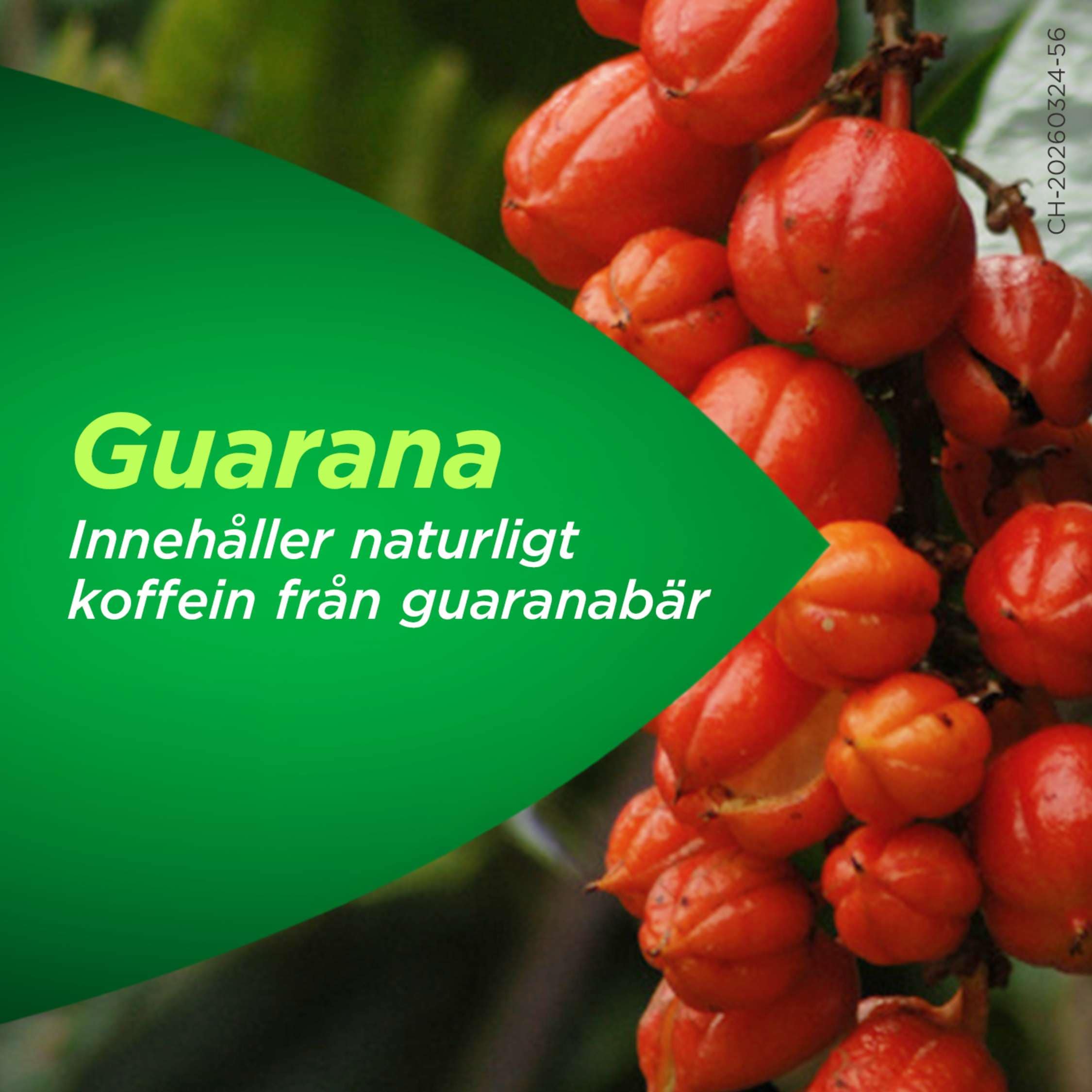 Guarana
